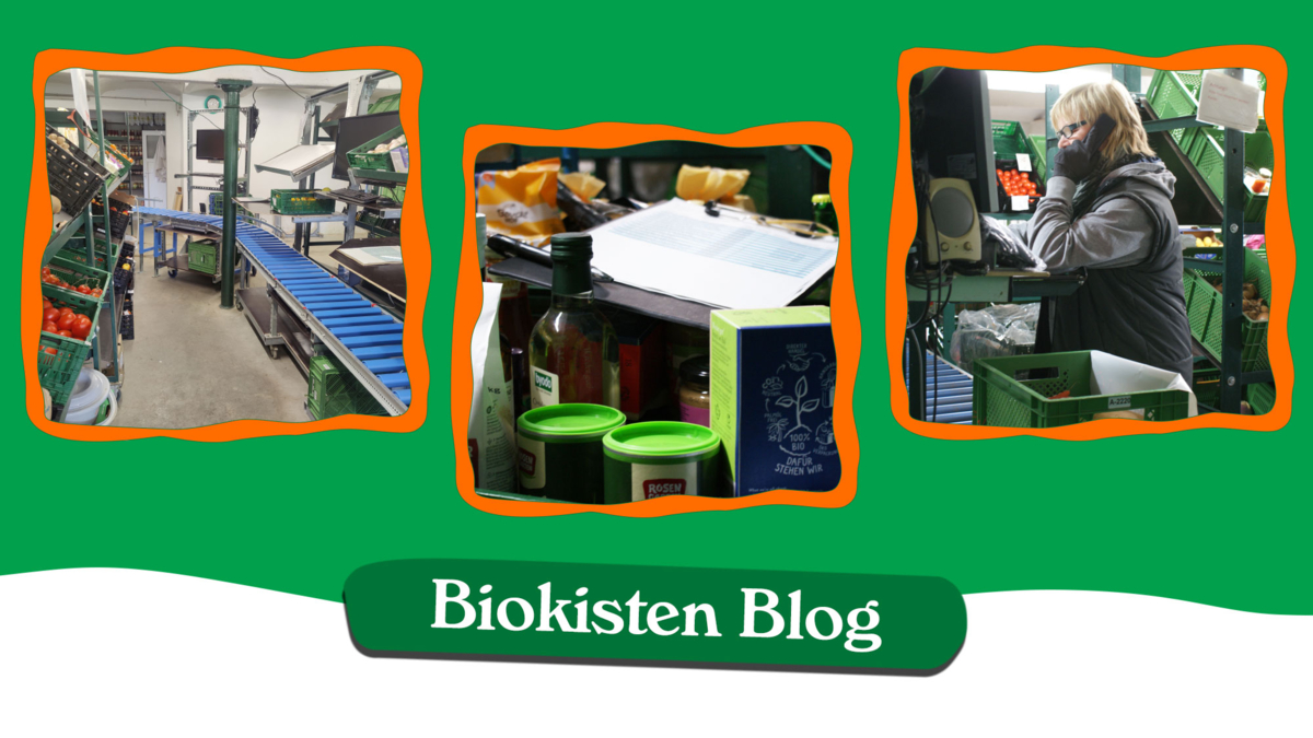 Biokisten Blog | Käseauswahl | Naturkost Zusammenstellung | Frau an Packstation Telefoniert