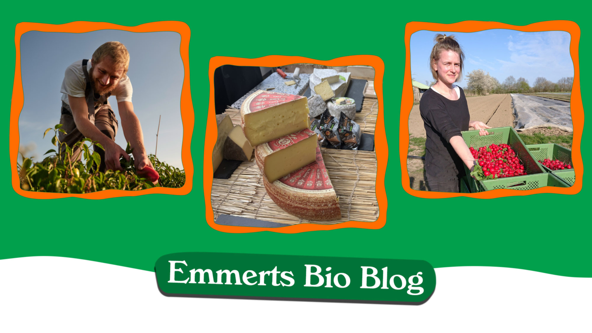 Bio Blog Übersicht | junger Mann erntet Paprika | Käseauswahl | junge Frau mit Radieschen