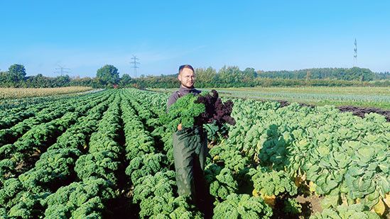 Hjalmar im Grünkohl