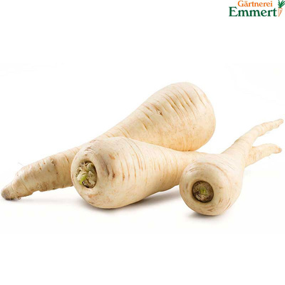 Produktfoto zu Pastinaken