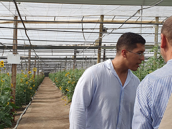 KI generiert: Das Bild zeigt zwei Personen in einem Gewächshaus, das mit Pflanzen und gelben Blumen bepflanzt ist. Die Struktur des Gewächshauses und die Anordnung der Pflanzenreihen sind deutlich erkennbar.