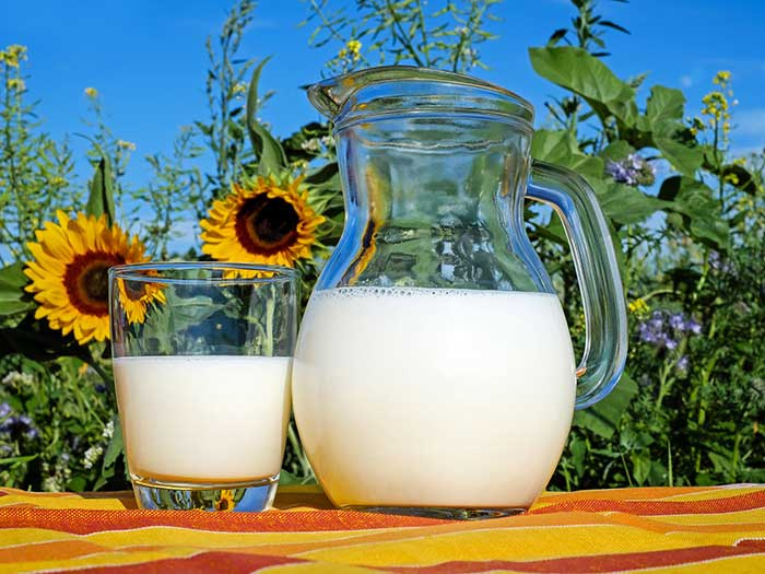 Ein Glas und ein Glaskrug gefüllt mit Milch stehen auf einem Tisch mit Orangeroter Tischdecke. Der Tisch steht vor einem Feld mit Blühenden Sonnenblumen. Im Hintergrund ist blauer Himmel zu sehen.