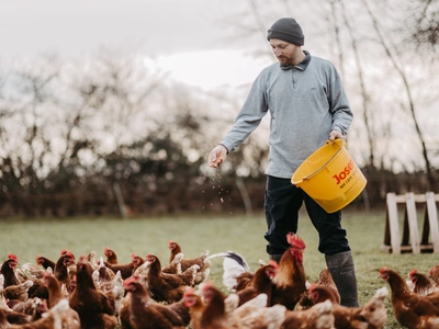 Ein junger Landwirt füttert Hühner auf einer grünen Wiese