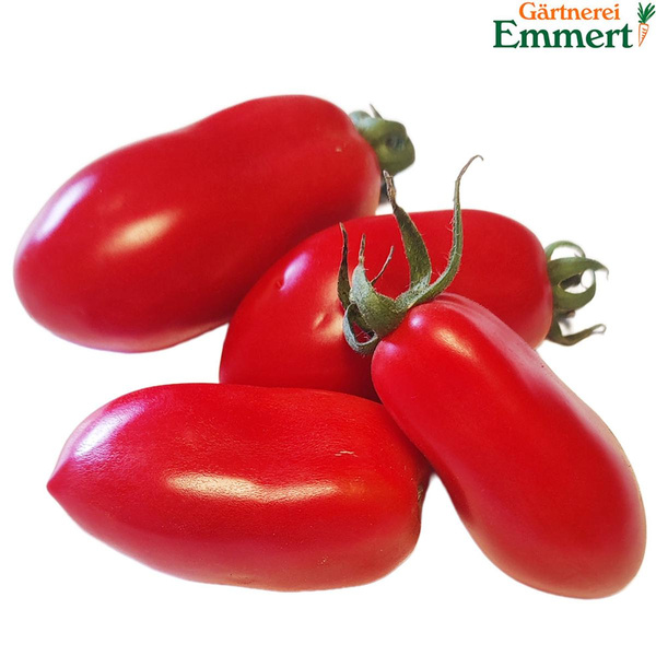 Produktfoto zu Tomate San Marzano