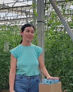 KI generiert: Eine Person steht in einem Gewächshaus neben einem Tisch mit Laborproben und einer Schachtel. Im Hintergrund sind zahlreiche Pflanzen zu sehen.