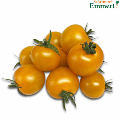 Produktfoto zu Cherrytomate "Giraffe"