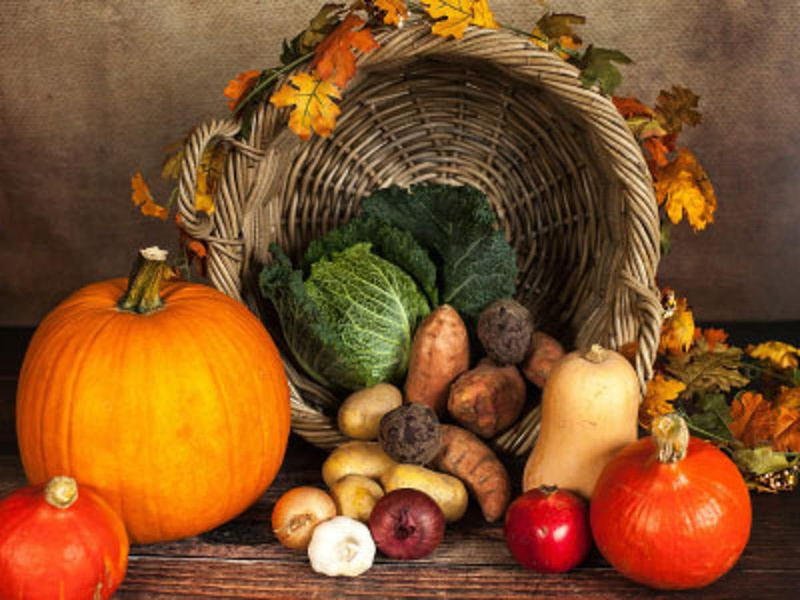 Herbst Wochen