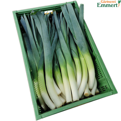 Produktfoto zu Porree