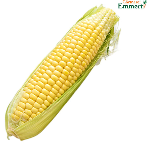 Produktfoto zu Zuckermais