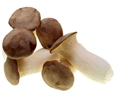 Produktfoto zu Kräuterseitlinge