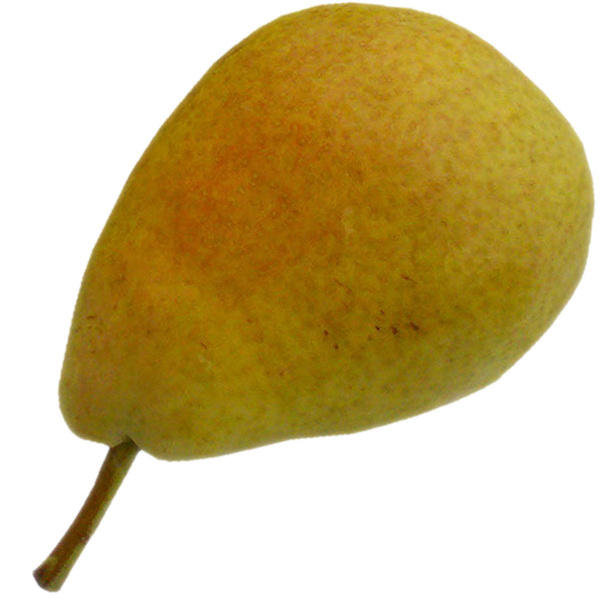 Produktfoto zu Birne Xenia