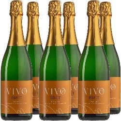 Produktfoto zu VivoLoVin (Sekt)  6*0,75 L