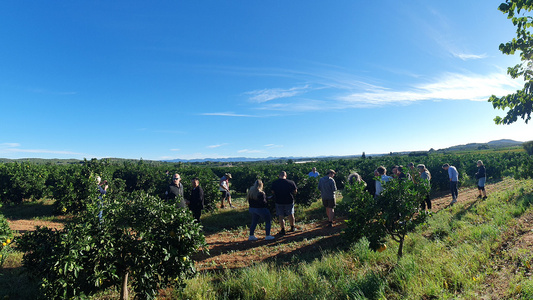 Reisegruppe bei Morell