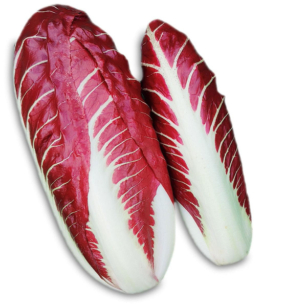 Produktfoto zu Radicchio "Treviso"