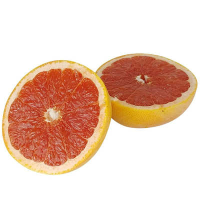 Produktfoto zu Grapefruit rose