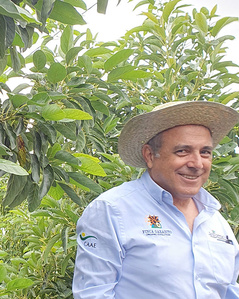 KI generiert: Ein Mann mit Strohhut und Hemd steht lächelnd neben einer Avocadopflanze. Der Hauptinhalt des Bildes ist die landwirtschaftliche Umgebung mit reifen Avocados.