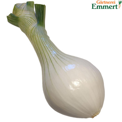 Produktfoto zu Gemüsezwiebeln frisch