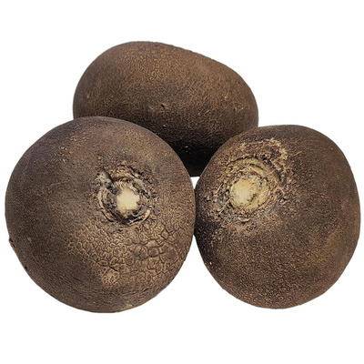 Produktfoto zu Schwarzrettich