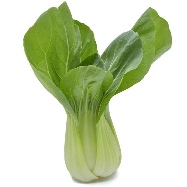 Produktfoto zu Pak Choi