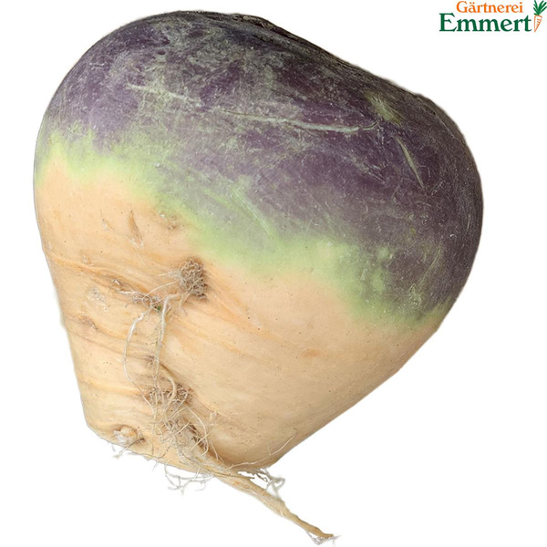 Produktfoto zu Steckrübe