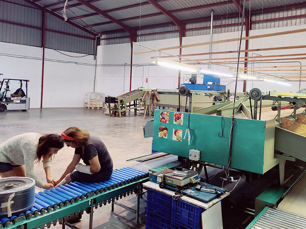 KI generiert: Das Bild zeigt eine Fabrikumgebung, in der zwei Personen neben einer Förderanlage arbeiten. Die Halle ist geräumig und es sind verschiedene Maschinen und Ausrüstungsgegenstände zu sehen.