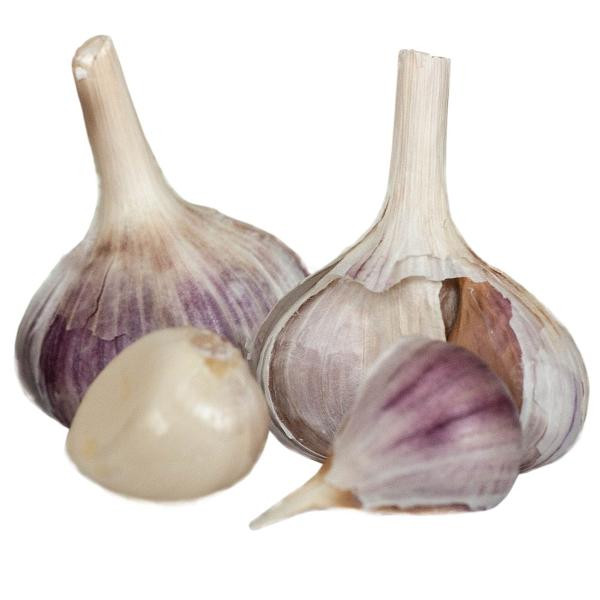 Produktfoto zu Knoblauch