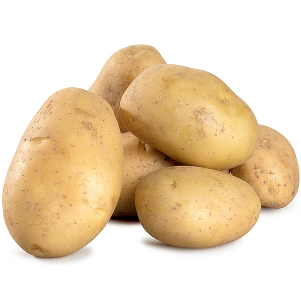 Produktfoto zu Frühkartoffel "Annabelle"
