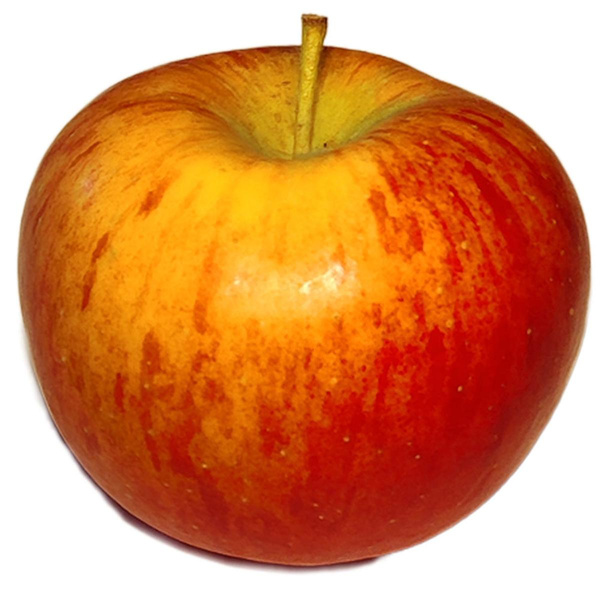 Produktfoto zu Apfel Topaz