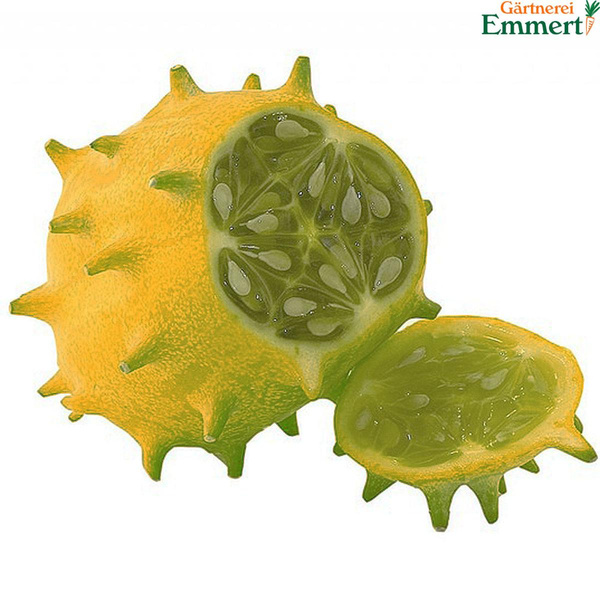 Produktfoto zu Kiwano 'Horngurke'