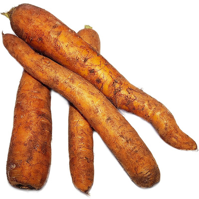 Produktfoto zu Moormöhren