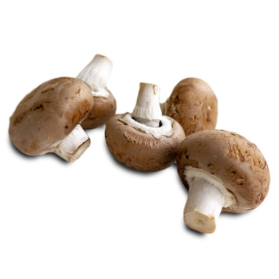 Produktfoto zu Steinchampigons 200 g Schal.