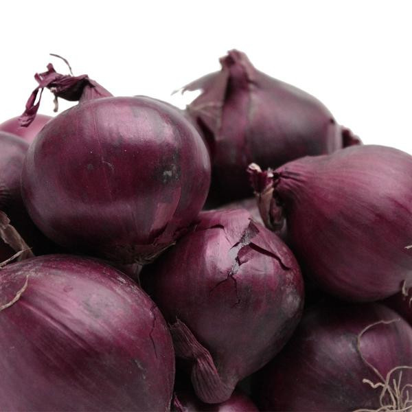 Produktfoto zu Zwiebeln rot