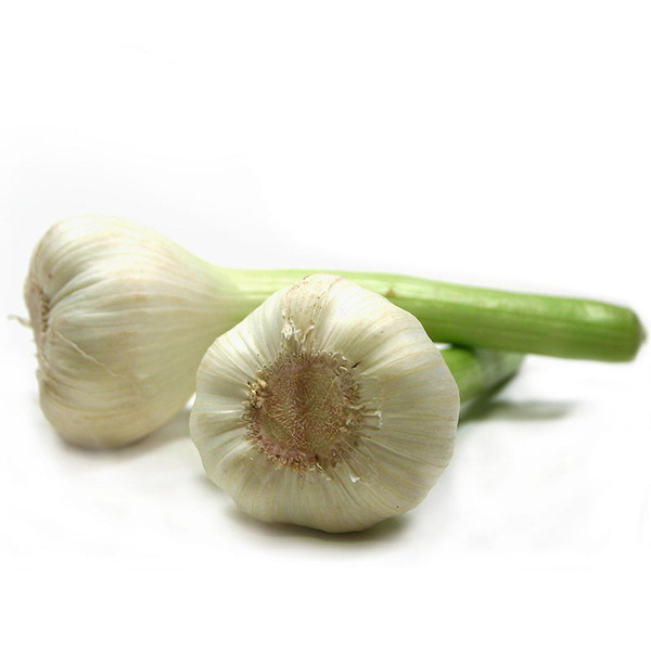 Produktfoto zu Frischer Knoblauch