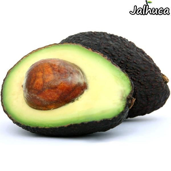 Produktfoto zu Avocado Jalhuca