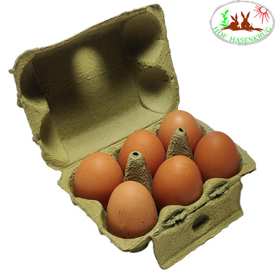 Produktfoto zu Bioland Eier 6 er Hasenkrug