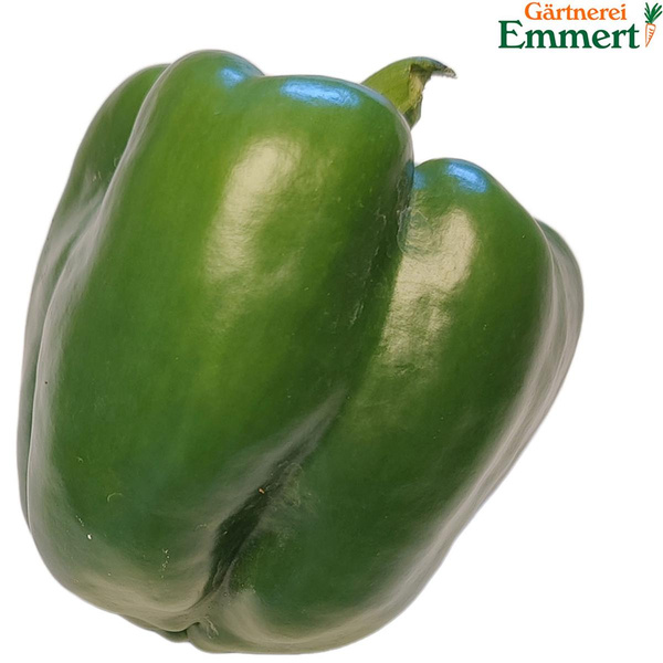 Produktfoto zu Paprika grün Emmert