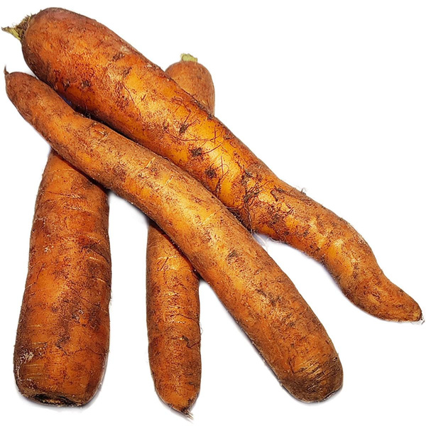 Produktfoto zu Moormöhren