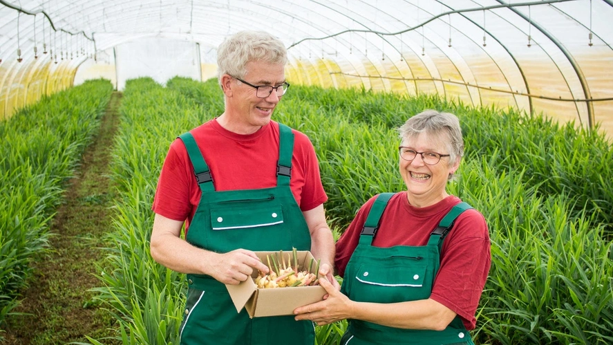 Stefan und Silke Funke mit frischem Ingwer