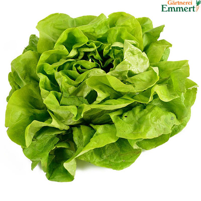 Produktfoto zu Kopfsalat
