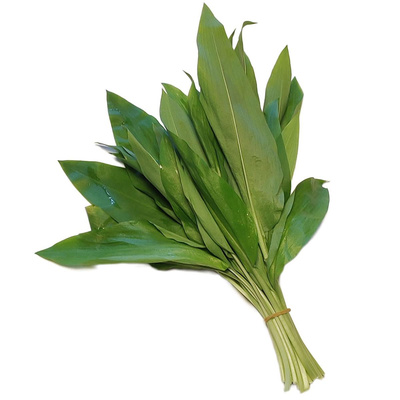 Produktfoto zu Bärlauch