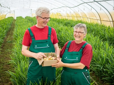 Stefan und Silke Funke im Gewächshaus mit Ingwerpflanzen.