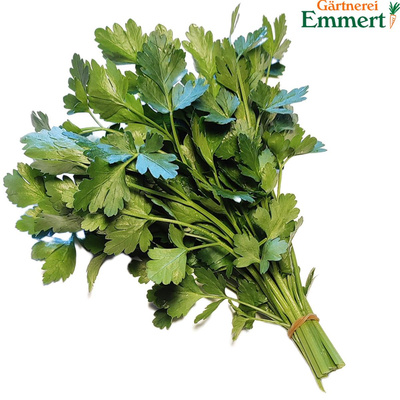 Produktfoto zu Petersilie glatt