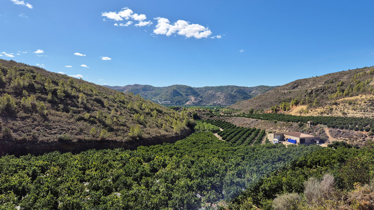 KI generiert: Das Bild zeigt eine weitläufige Landschaft mit grünen Feldern und Hügeln im Hintergrund unter einem blauen Himmel. Der Hauptinhalt ist eine landwirtschaftliche Fläche in einer hügeligen Umgebung.