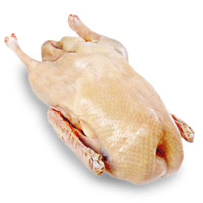 Produktfoto zu Gans ca. 3-5 Kg