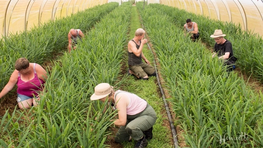 Das Team von der Gärtnerei Funke