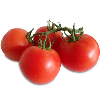 Produktfoto zu Strauchtomaten