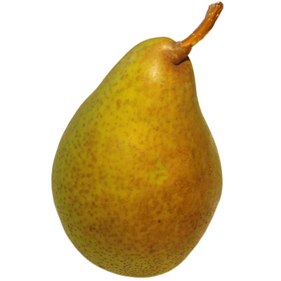 Produktfoto zu Birne Köstliche von Charneux