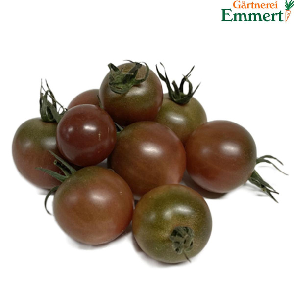 Produktfoto zu Cherrytomate, "Black Cherry"