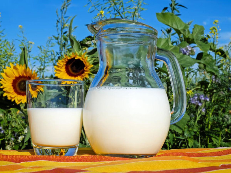 Milch & Milchprodukte