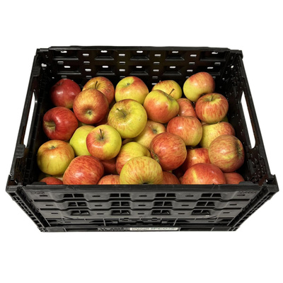 Produktfoto zu Apfelkiste mit 8 Kg  Inhalt